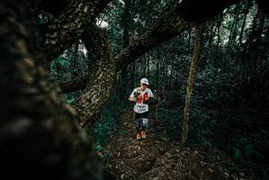 BIB: 
                            <button type="button" onclick="openModal(25684117)" class="btn btn-primary btn-sm float-right btn-popup" data-toggle="modal" data-target=".modal-high-quality">
                        <i class="fas fa-shopping-cart"></i> Add to Cart
                    </button>
                                            <button type="button" onclick="isThisMe(25684117, true)" class="btn btn-success btn-sm float-right btn-popup btn-isme hidden" data-toggle="tooltip" data-placement="bottom" title="นี่คือรูปของคุณใช่ไหม คลิกที่นี่เพื่อเอาเข้าอัลบั้ม">
                        <i class="fas fa-plus"></i> Add to album
                    </button>
                    <button type="button" onclick="isThisMe(25684117, false)" class="btn btn-warning btn-sm float-right btn-popup btn-isnotme hidden">
                        <i class="fas fa-ban"></i> Remove from album
                    </button>